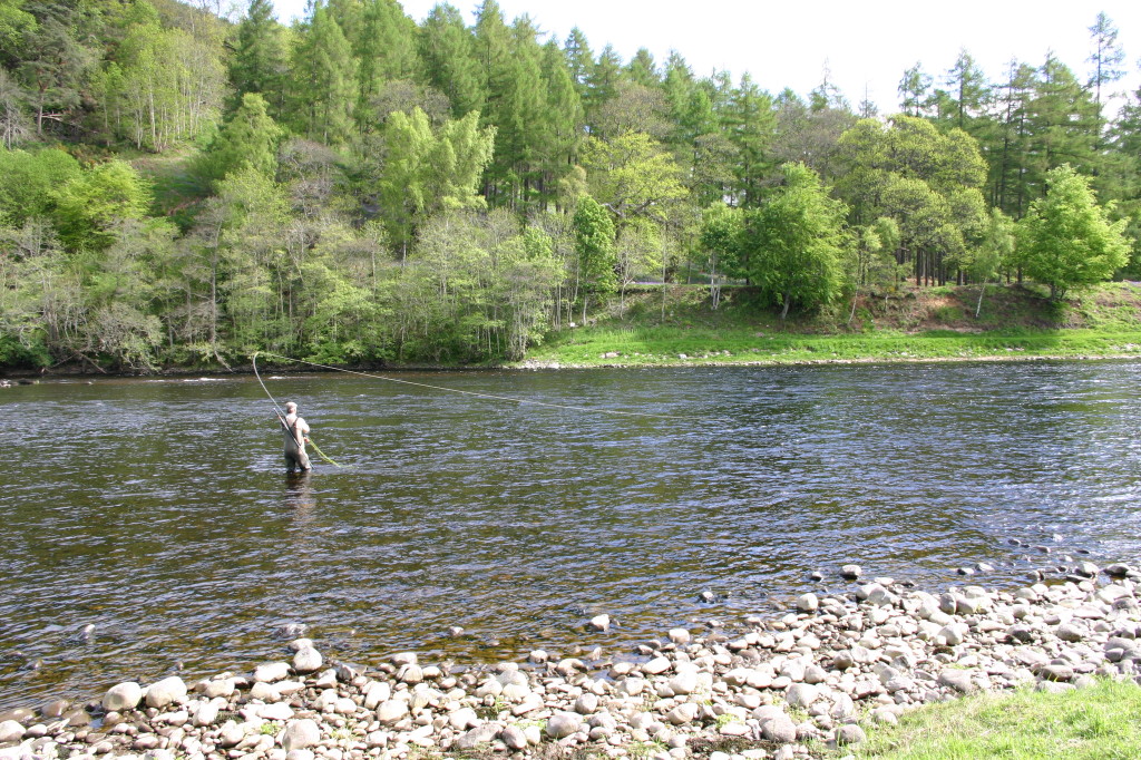 Spey Casting & Snake Roll - Michael Evans & Co